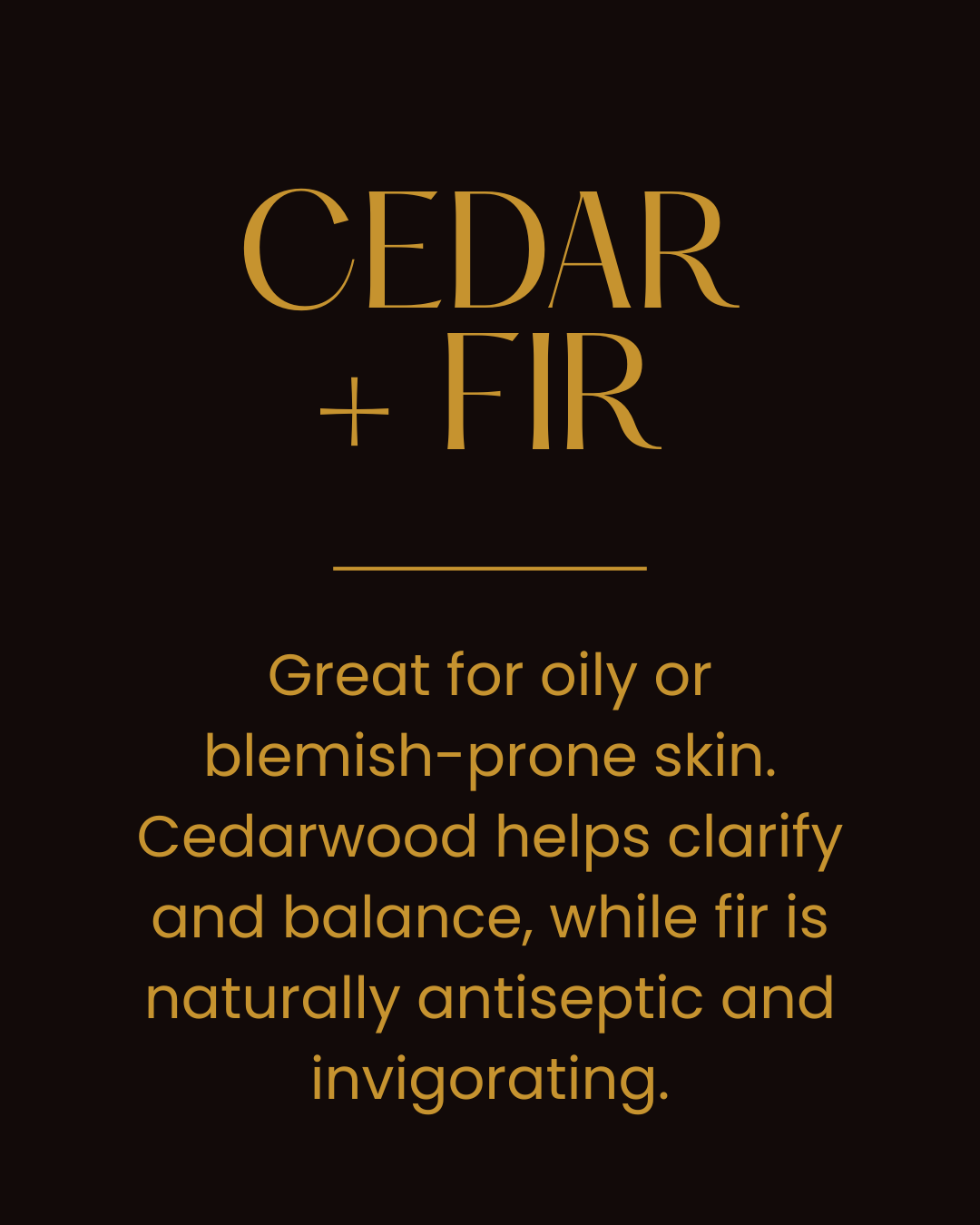 BIG TIMBER - Cedar + Fir Tallow Balm