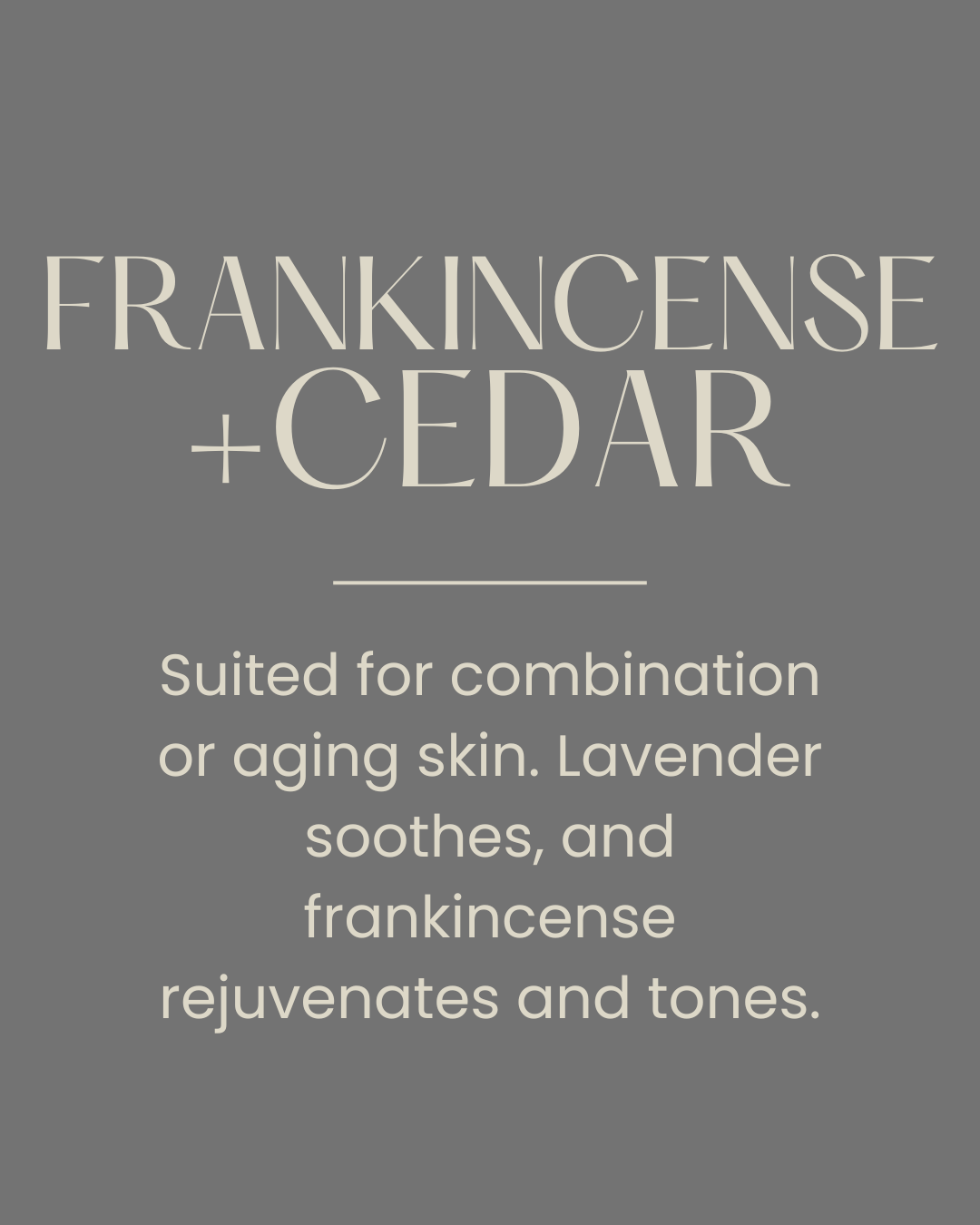 WISE GUY - Frankincense + Cedar Tallow Balm
